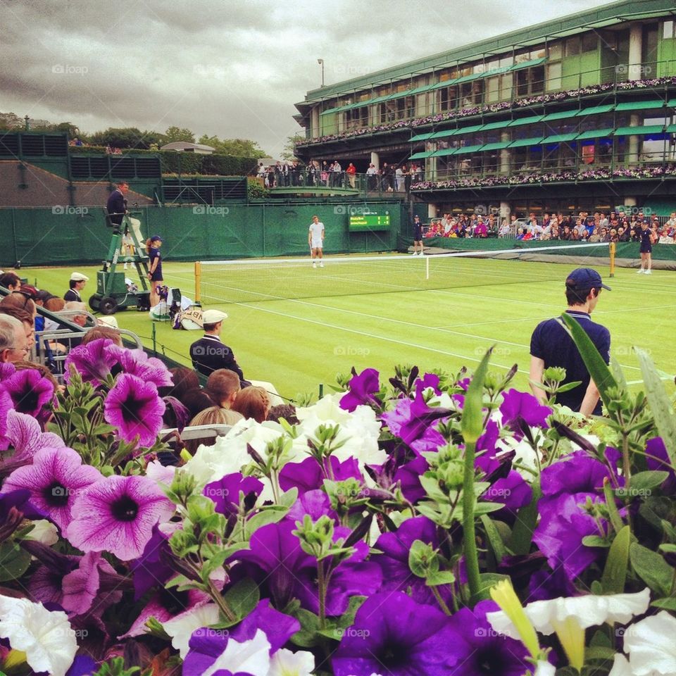 Wimbledon 2013