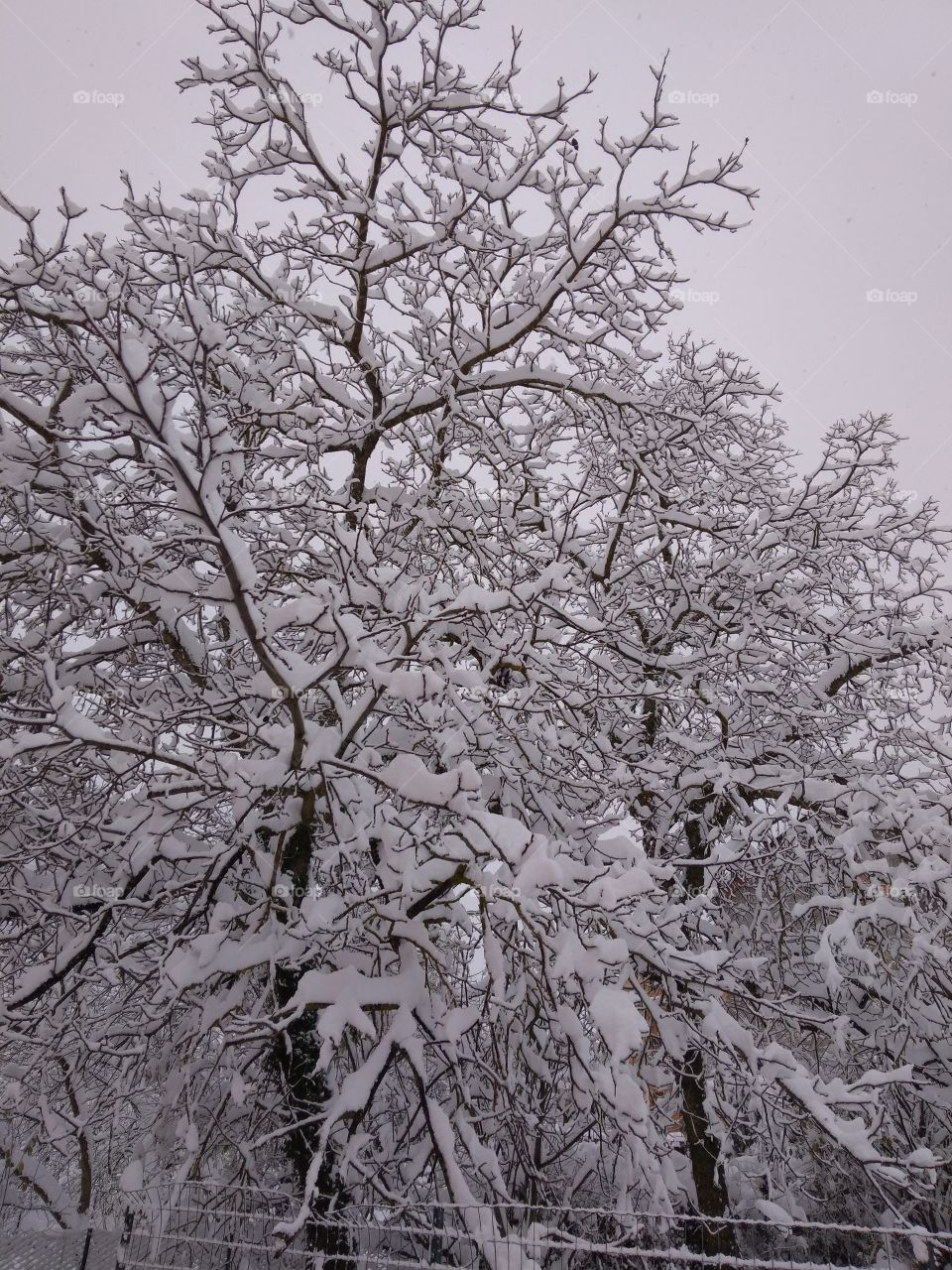 Best of 2021: Nature