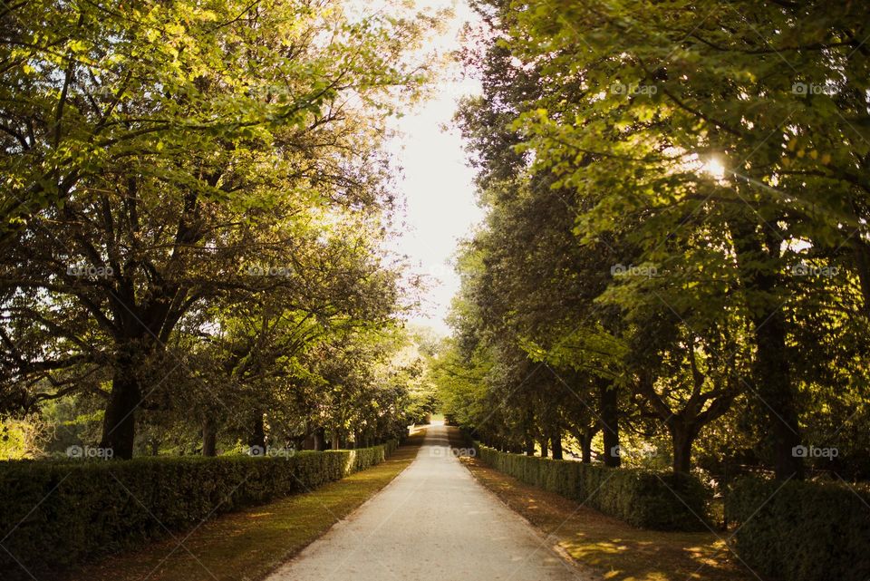 road to nature