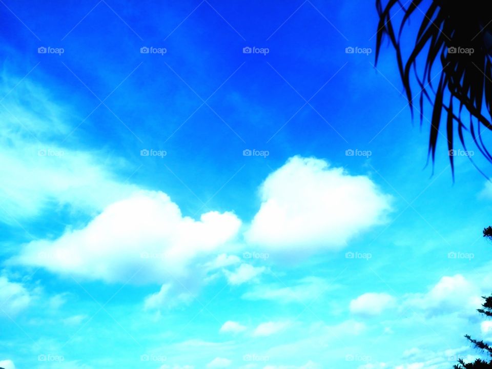 The varieties background