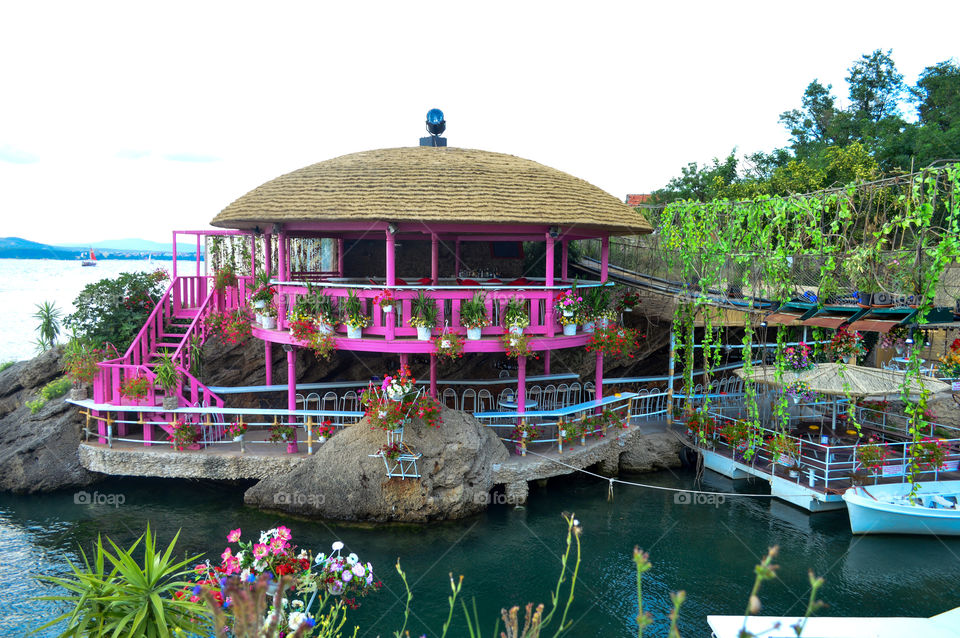 Decorating coastal cafes using flowers and plants