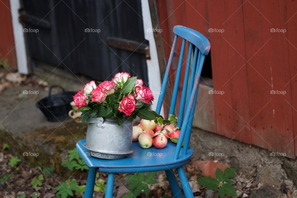 pink roses and apple