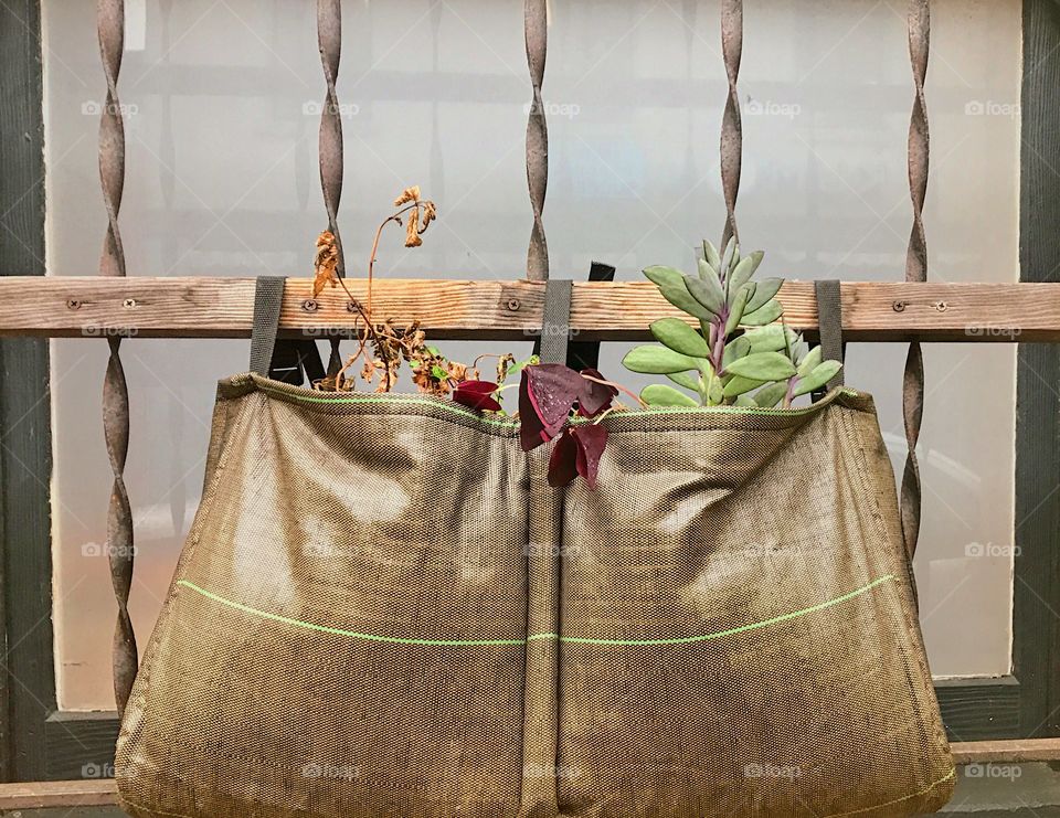 Great idea for window box 