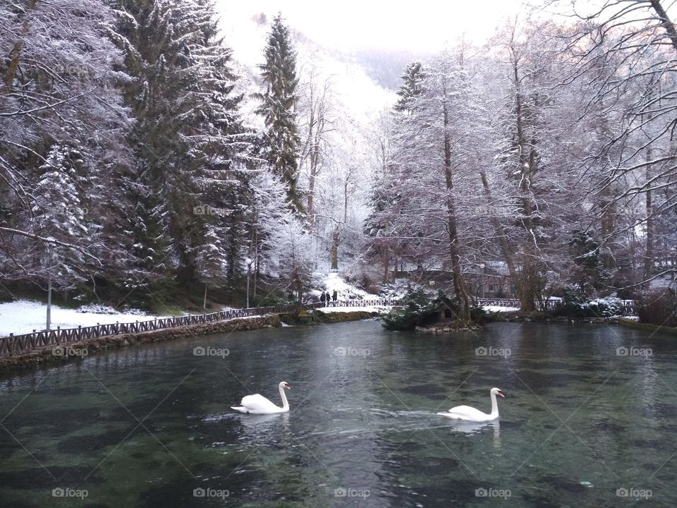 Walk by the spring of river Bosna.