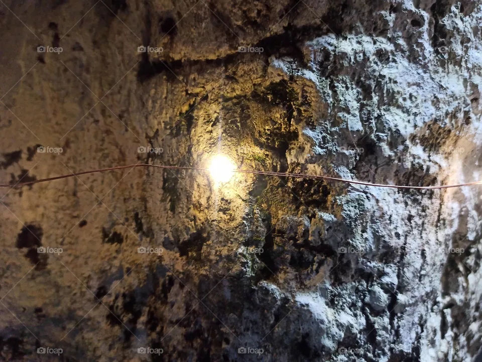 light in shadow
