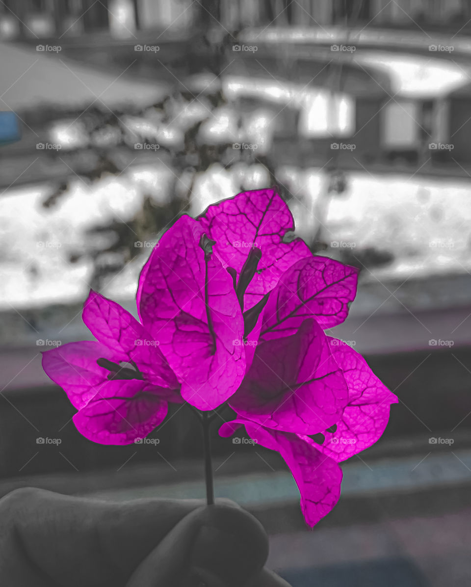 life isn't always dandy !