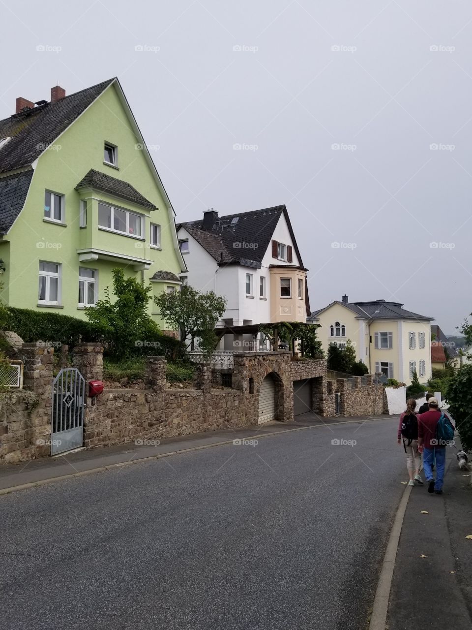 houses in Rüdesheim