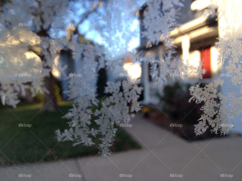 Frost from inside car