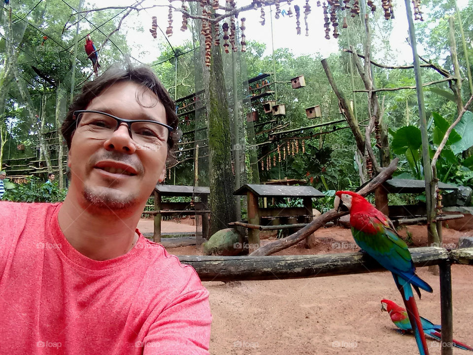 Photo with the beautiful macaws in the Bird Park in Foz do Iguaçú.