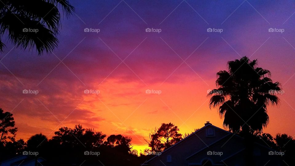 tropical sunset with palm tree silhouettes