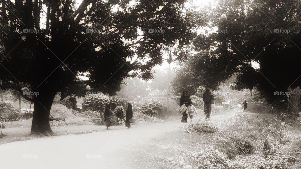 Common day in an Indian village ...inconceivably strange as a means of comprehension about their sacred ways within a traditional system...that I don’t understand and I guess neither they do ...fully
