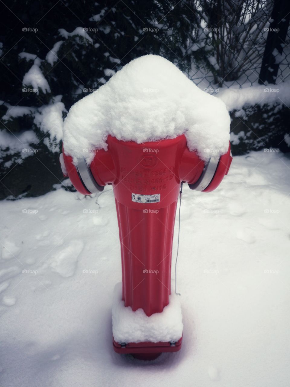 Red hydrant in the middle of winter