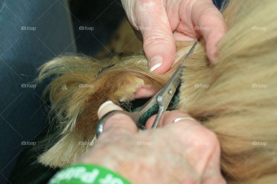 cutting blonde hair for St. Baldrick's