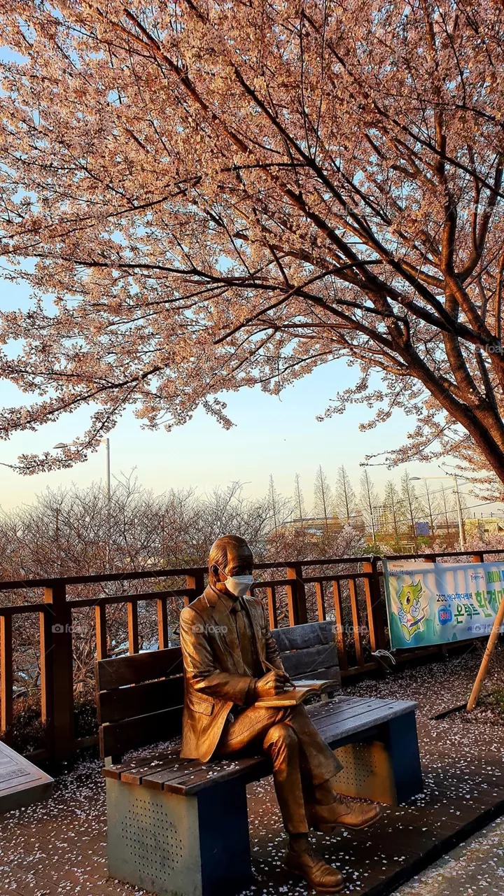 A poet is writing a poem sitting under a cherry blossom tree.

