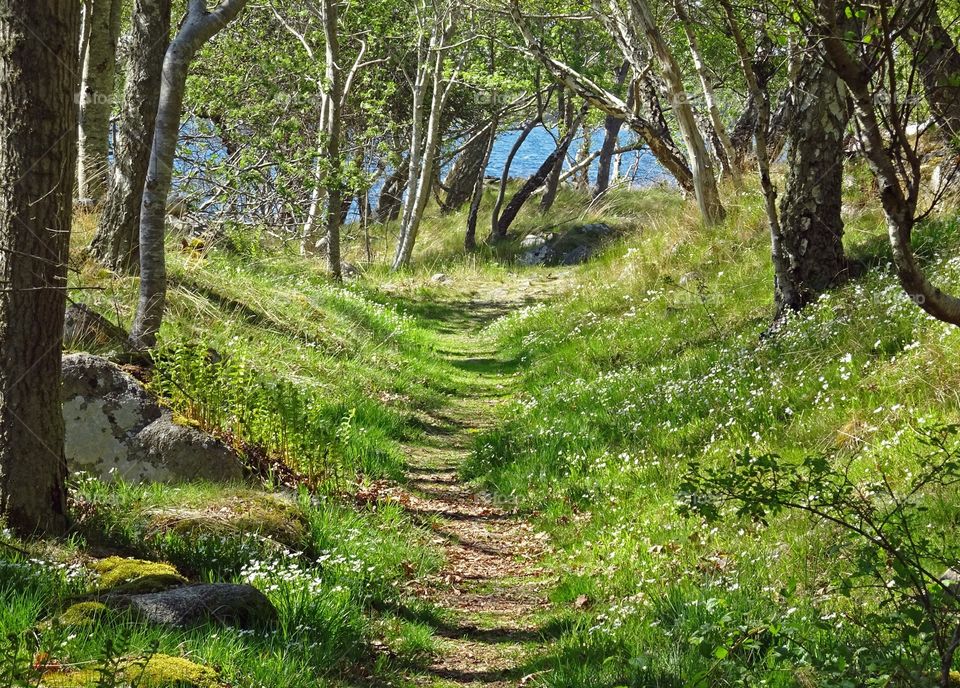 Lindö, Ronneby, Sweden