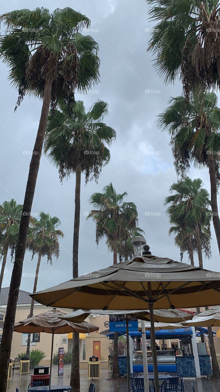 #day127 Everyday WDW Orlando Florida. I have been lost on Disney Properties consecutively since 4/3/19 You can find my encounter https://www.facebook.com/selsa.susanna or on IG selsa_susanna Disney’s Blizzard Beach 8-7-19 #farewell #goodbye