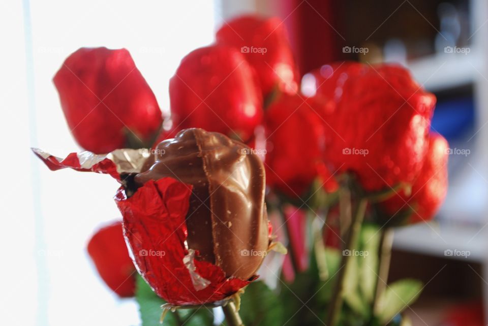 Chocolate roses