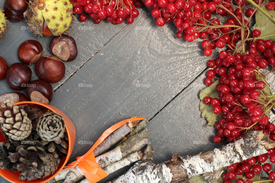 Vegetables, Halloween, pumpkin, corn, harvest, fertility, agriculture, food, cones, forest, birch branches