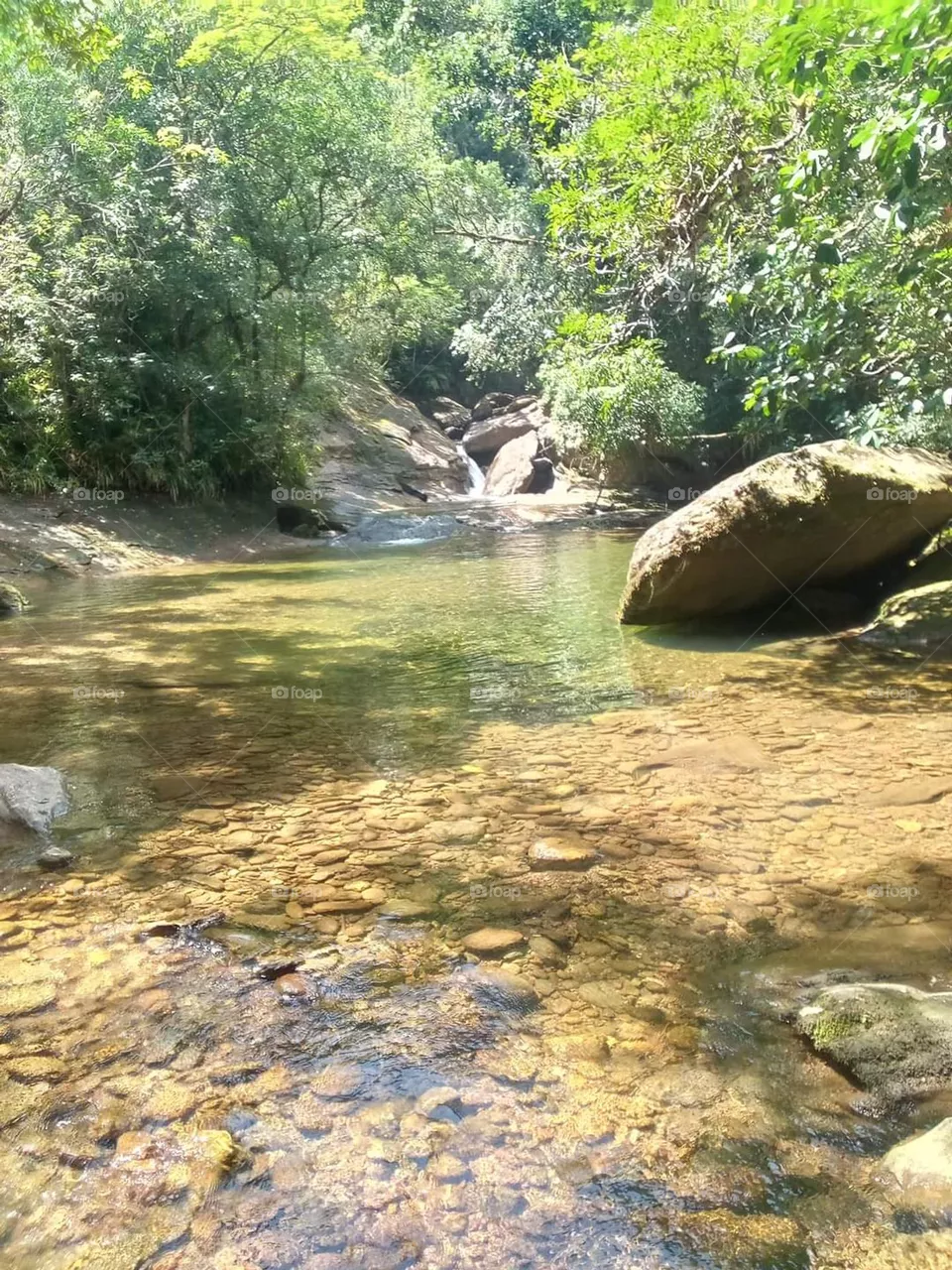 relaxing morning