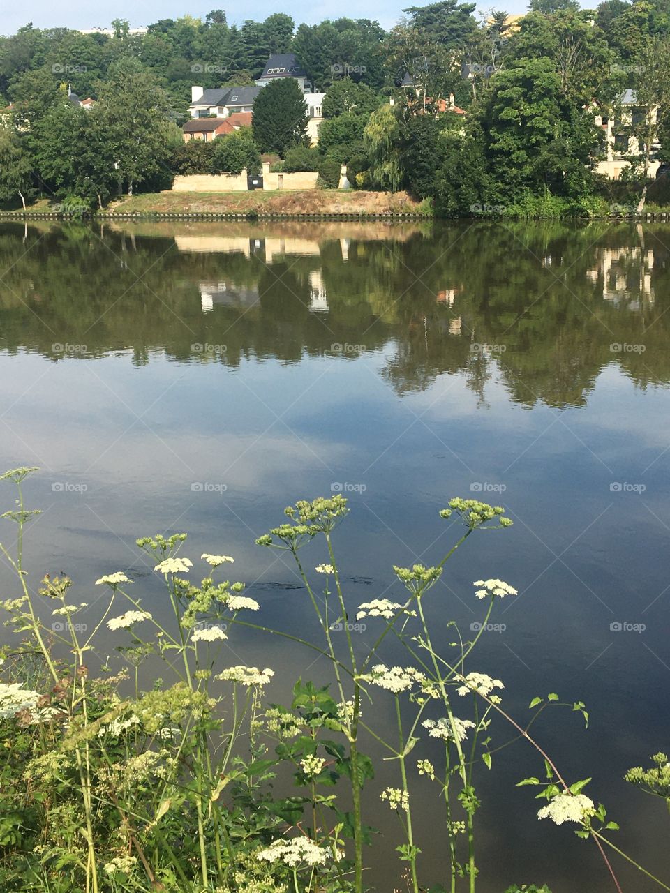 Si calm along the river