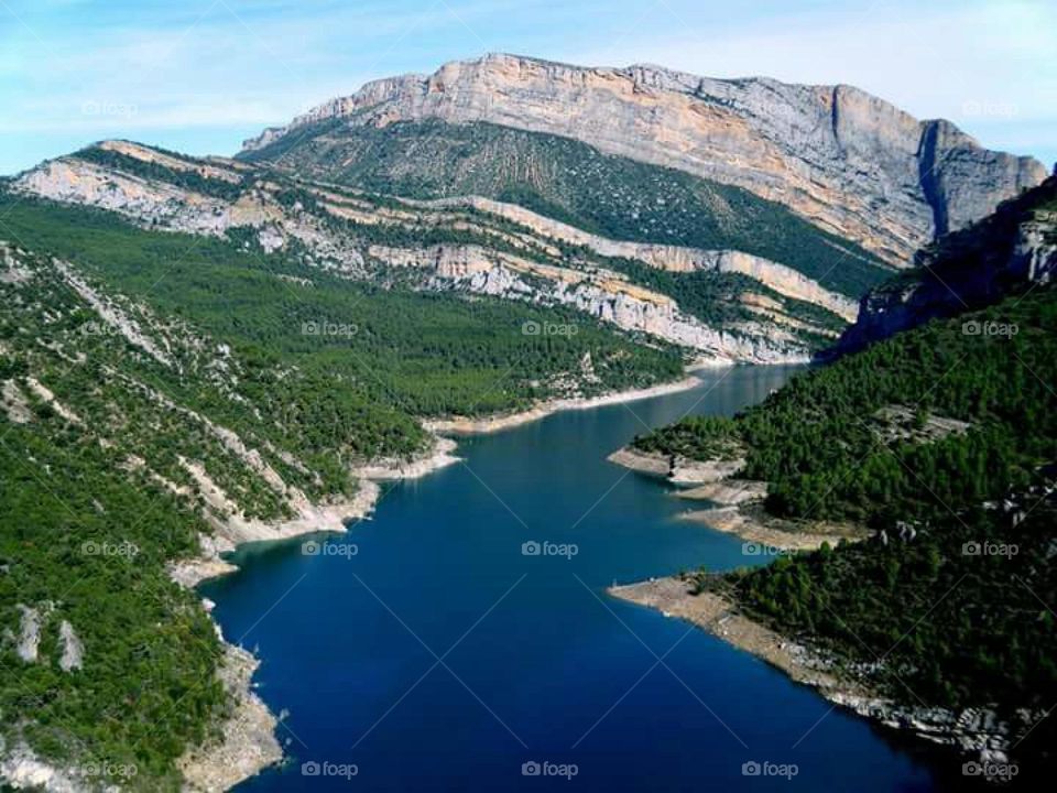 Scenic view of nature