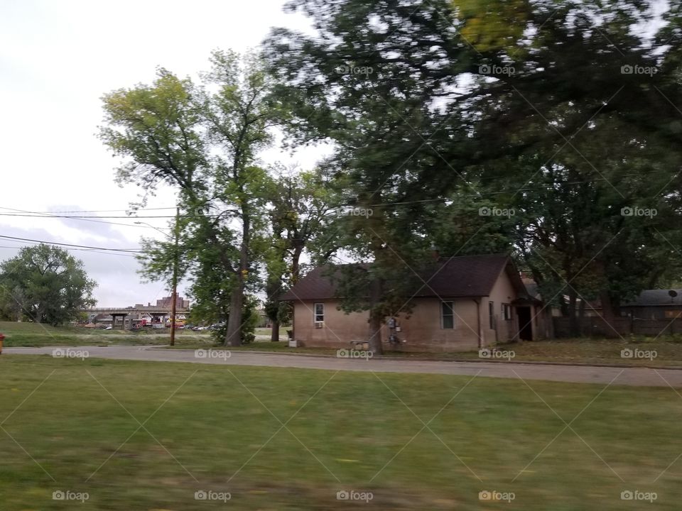 Tree, Home, Landscape, House, Grass