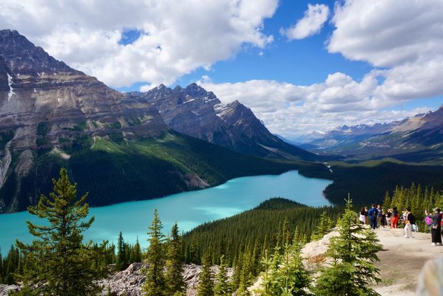 Peyto lake by day