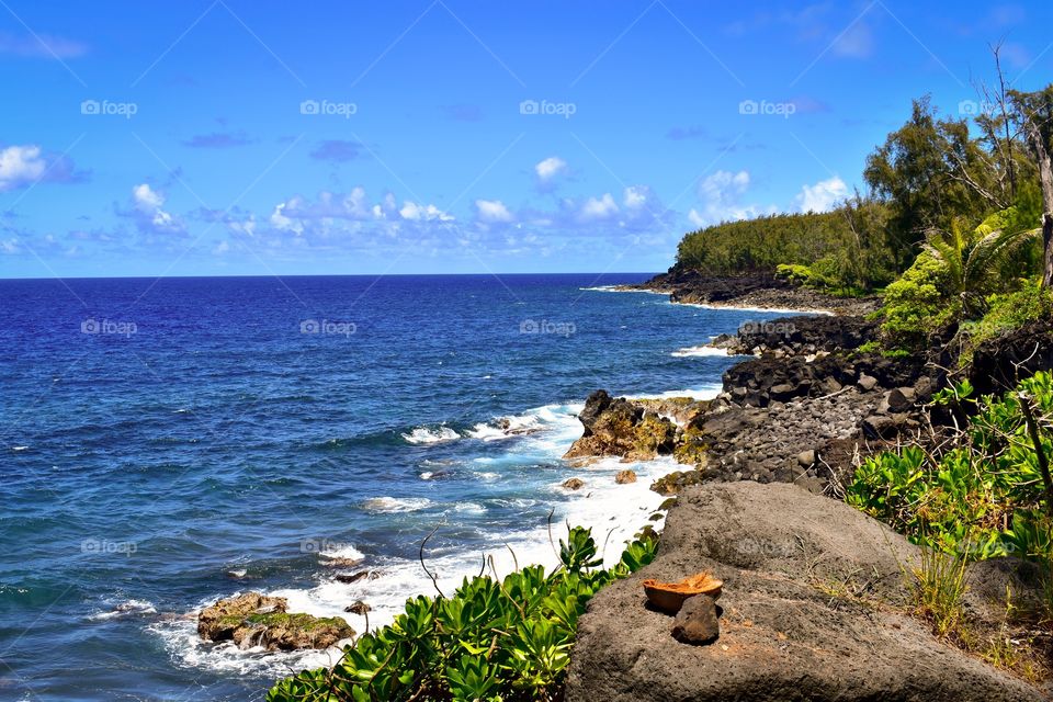 Along the Puna coastline on the island of Hawaii 