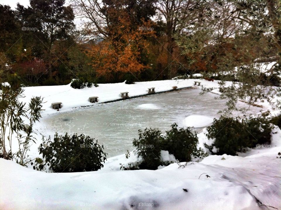 trees winter iced pool by alekime