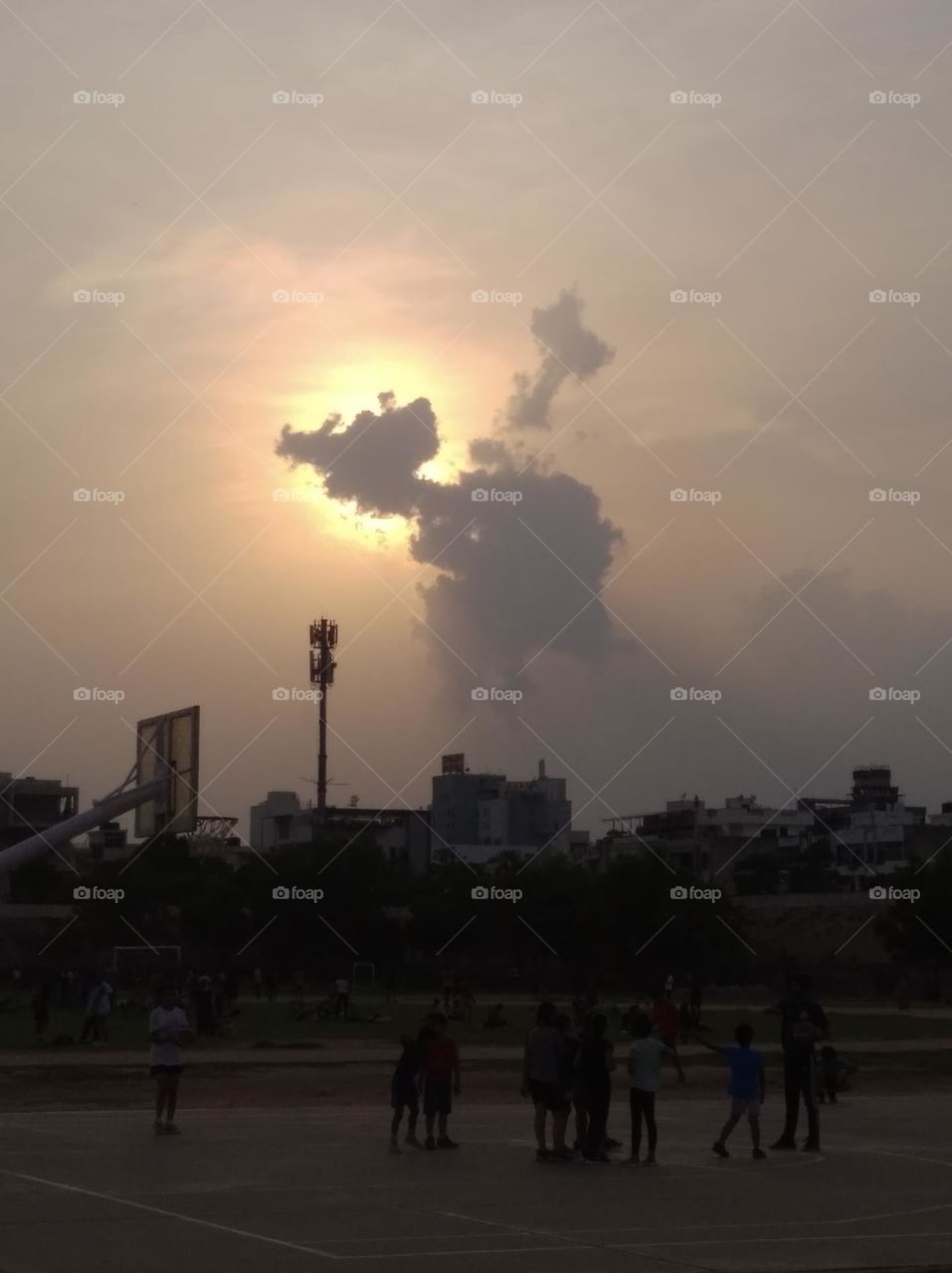 evening scene,sun, cloud dark plants,an image create by the cloud like a horse in the sky