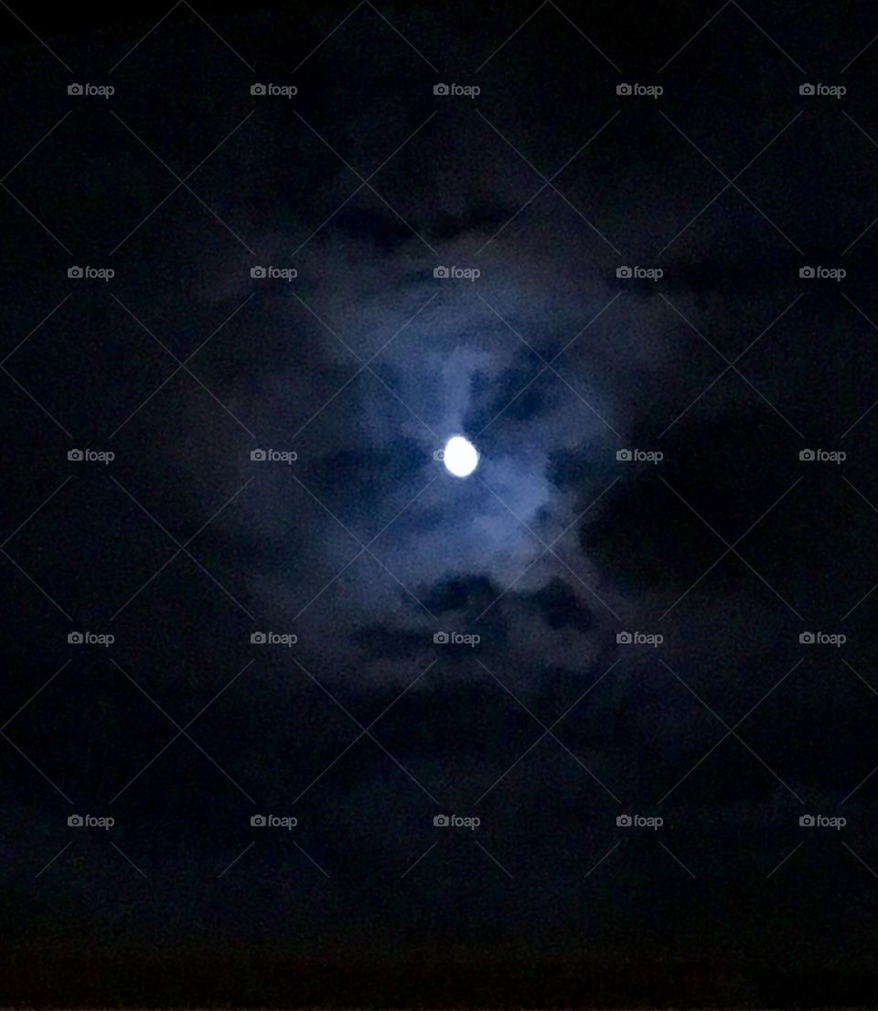Goodnight moon 