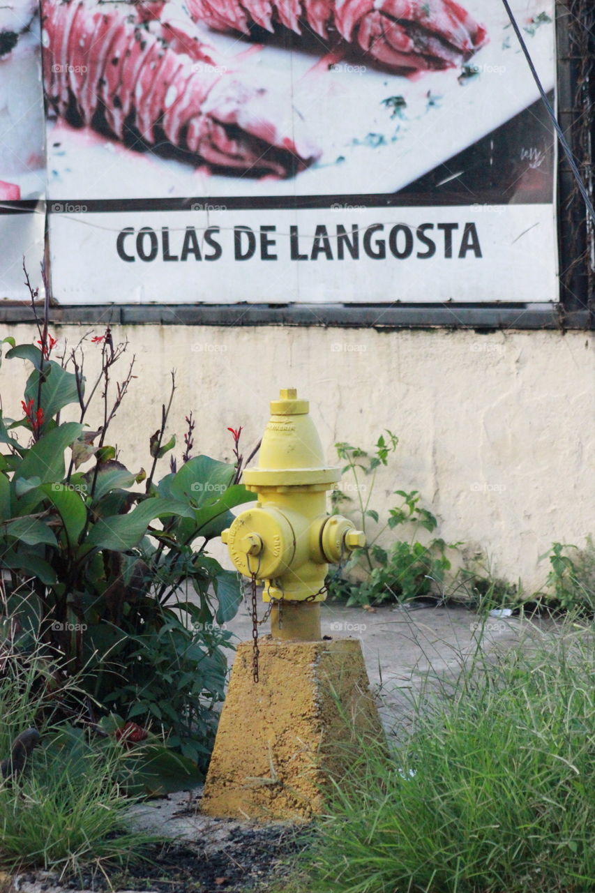 fire hydrant in Costa Rica with lobster for sale sign above it.