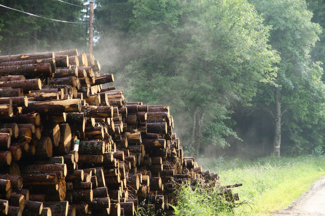 wood
