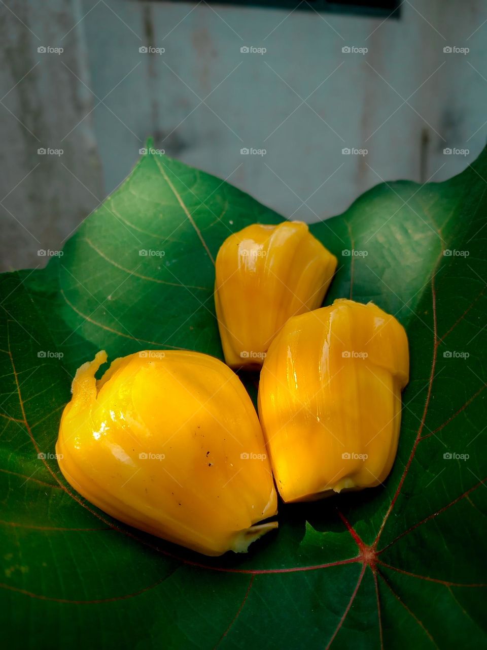 Ripe jackfruit peeled tropical fruit fresh from jackfruit tree, jackfruit on green leaves