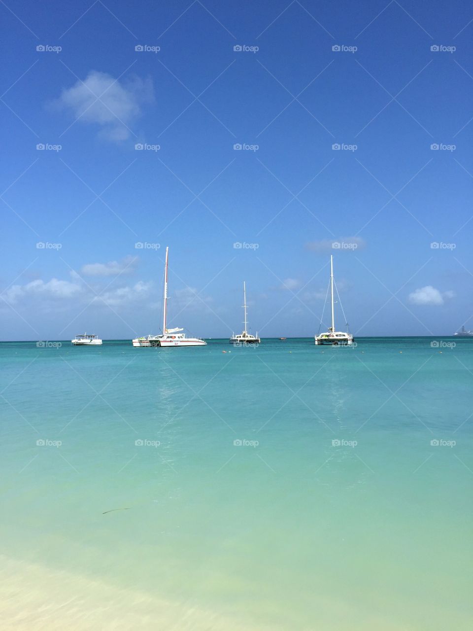 Catamarans in Aruba