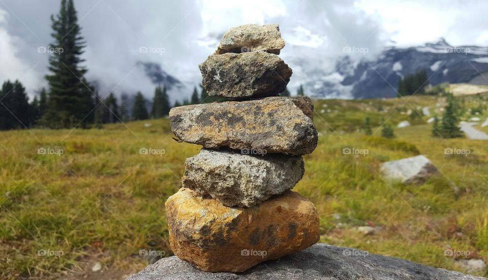 Pebble Tower - Mount Rainier National Park, WA