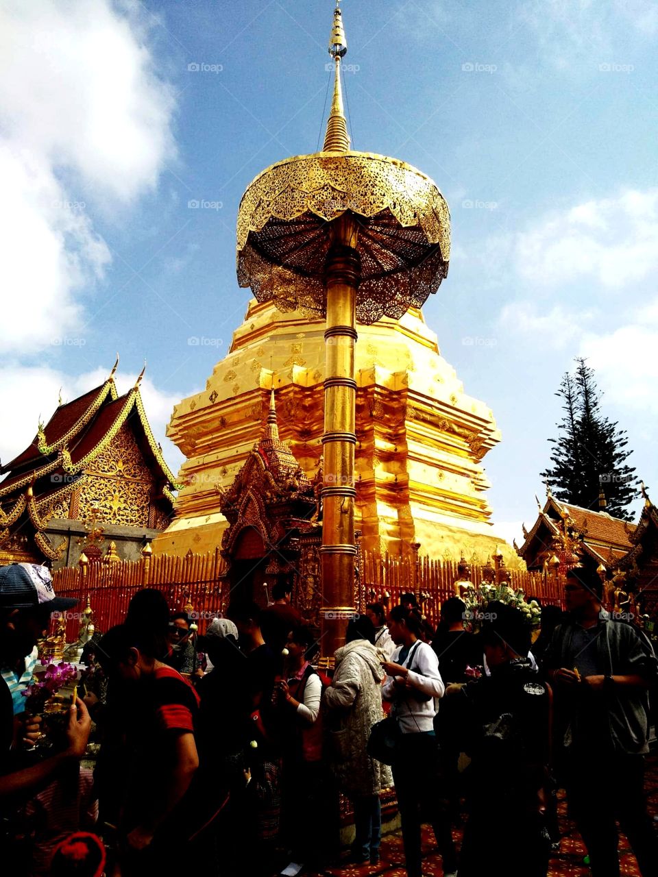 temple pagoda religion Buddha Chiang Mai