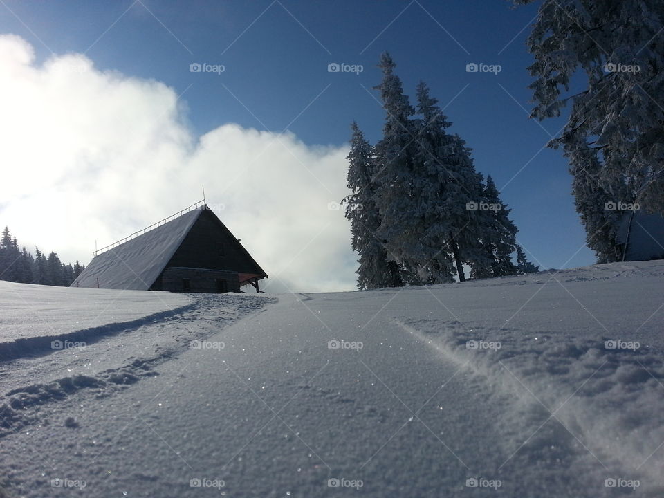 Scenic winter landscape