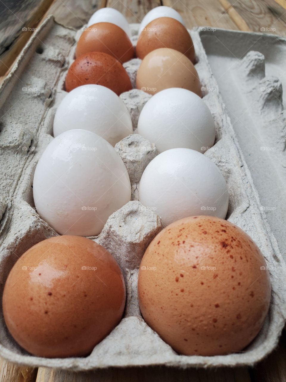 Farm fresh eggs