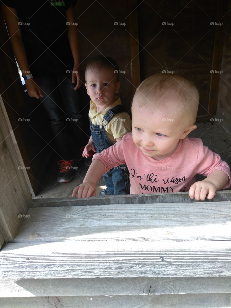day out in the pumpkin patch