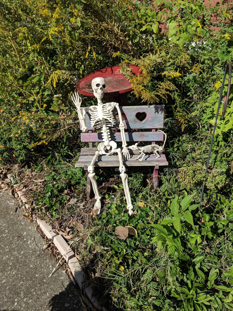 Skeleton waving hi on a bench