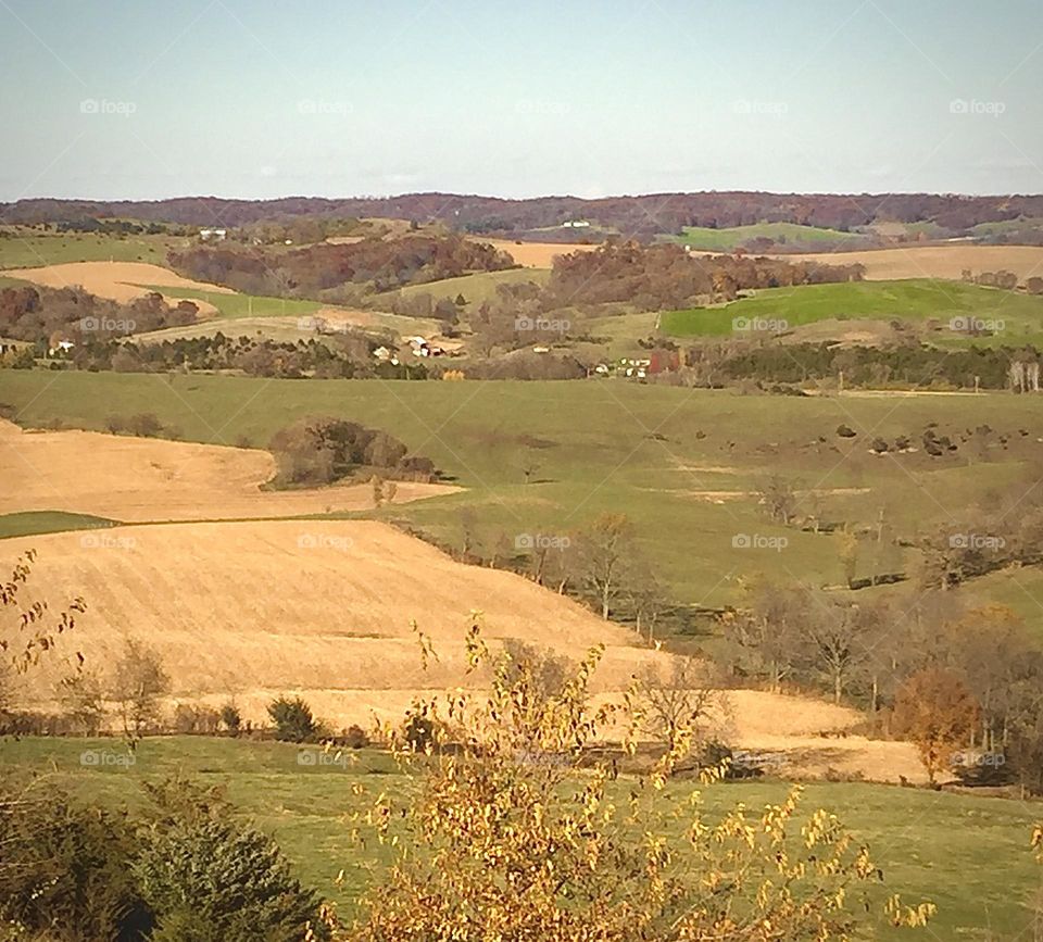 Autumn Farmland 