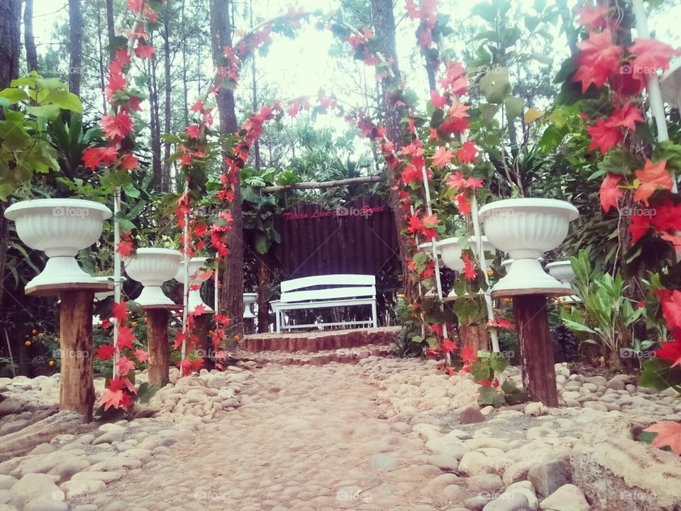 I take this photo at Flower Garden, hope you like it :)