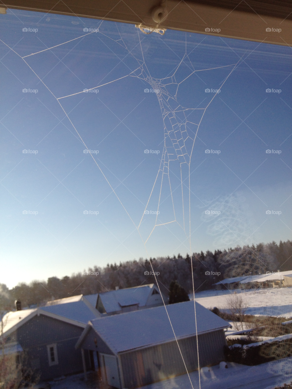 window frozen cobweb snow. winter by liselott