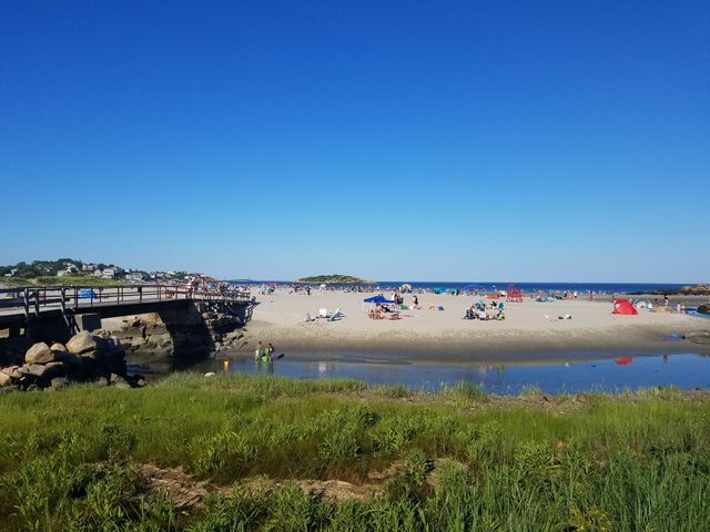 Beach, beach, beach