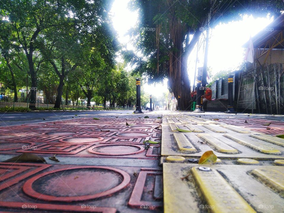 The atmosphere of the morning before noon on the roadside with strong winds.