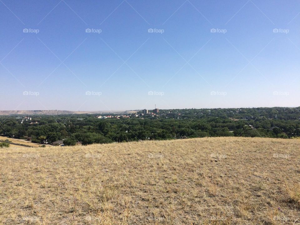 Very much the prairies during the summer, in this landscape, skyline, you have the gold wild grass and then dark green grasses and trees, some of Medicine Hat, Alberta, Canada, and then the beautiful blue skies, during the day