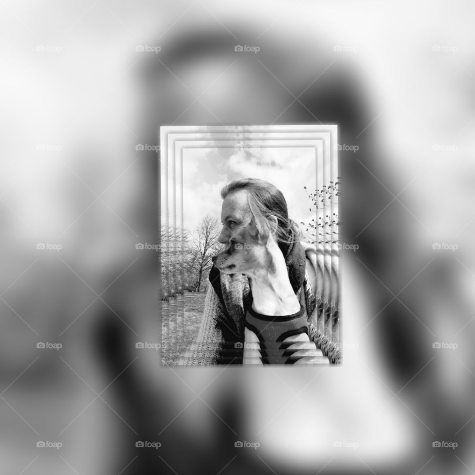 Der Hund,der beste Freund des Menschen