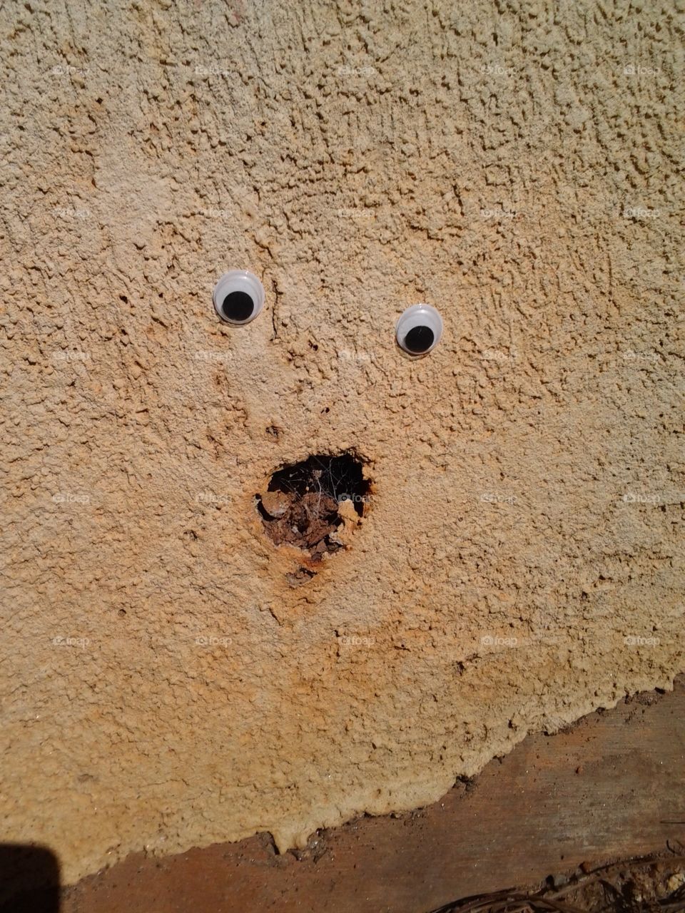 Face in the Plaster Wall