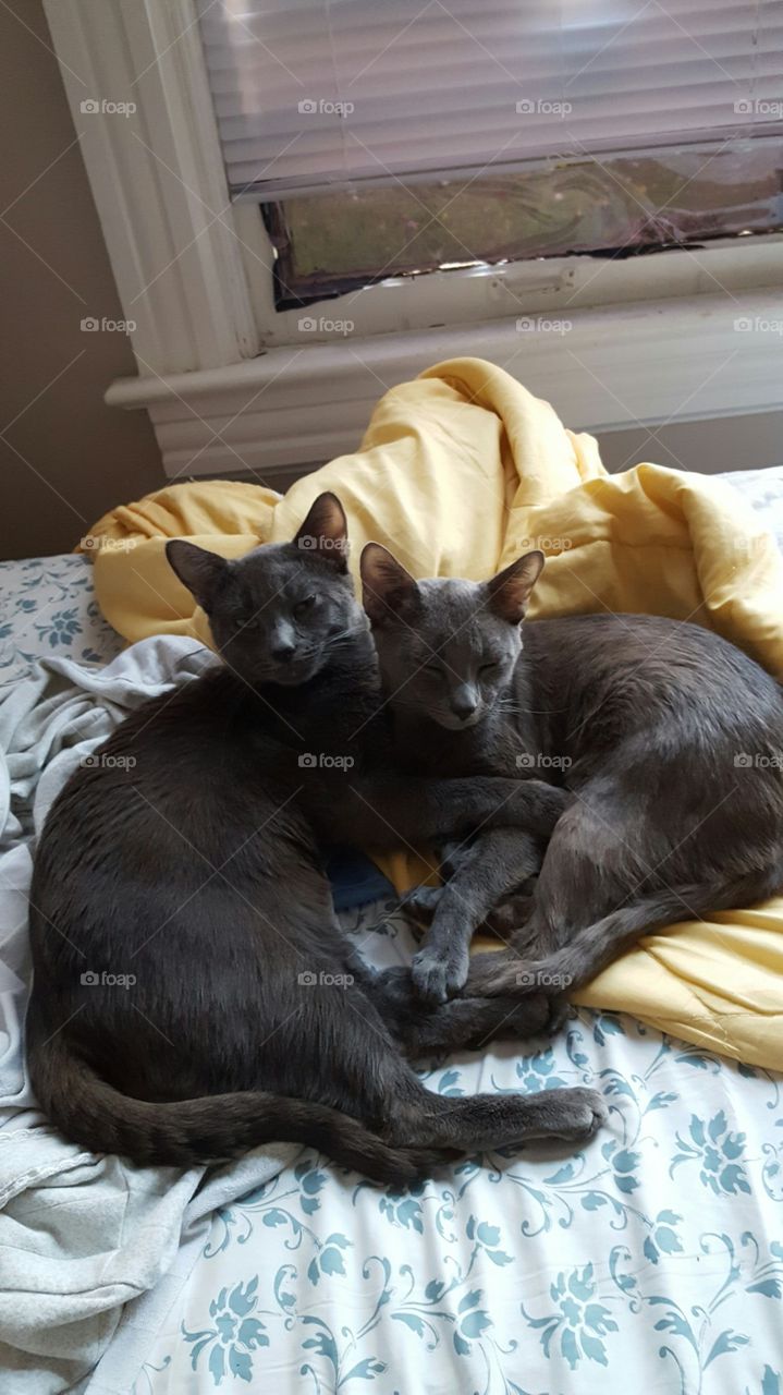 snuggling on the bed